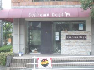 トリミングサロン Supreme Dogs(1)