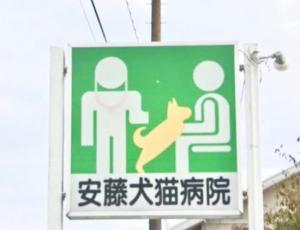 安藤犬猫病院(1)