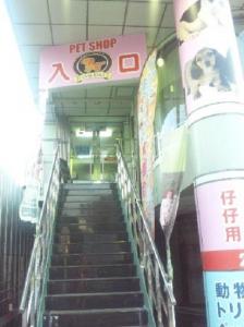 Coo&RIKU新宿店(1)