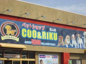 ペットショップCoo&RIKU 富山店(1)