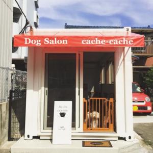 Dog Salon cache-cache(1)