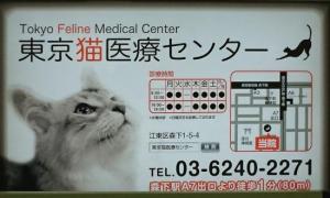 東京猫医療センター(1)