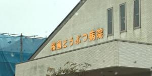 桜通どうぶつ病院(1)