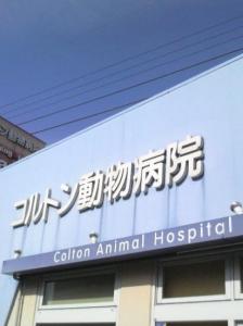 コルトン動物病院(1)