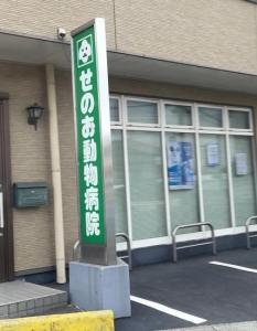 せのお動物病院(1)