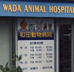 和田動物病院(1)