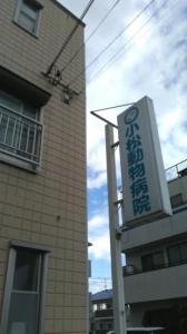 小松動物病院(1)