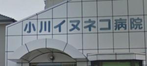 小川イヌネコ病院(1)