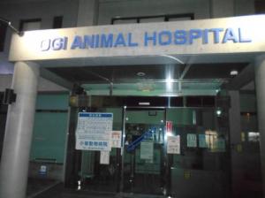 小儀動物病院(1)