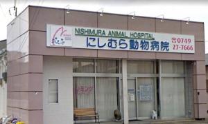にしむら動物病院(1)