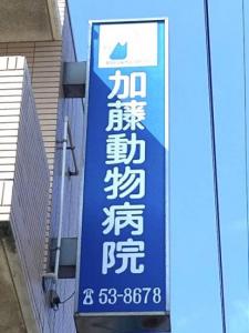 加藤動物病院(1)