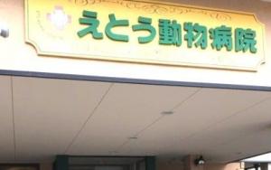 えとう動物病院(1)