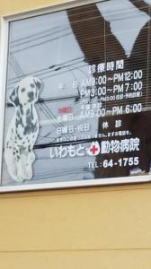 いわもと動物病院(1)