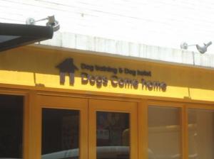DogsComehome(1)