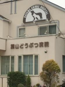葉山動物病院(1)