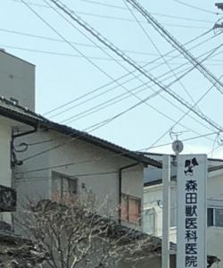 森田獣医科医院(1)