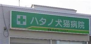 ハタノ犬猫病院(1)