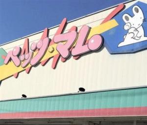 ペッツ・マム鎌田店犬猫生体美容コーナー(1)
