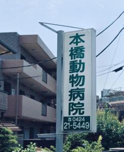 本橋動物病院(1)