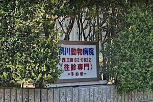 夙川動物病院(1)