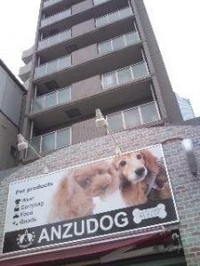 ANZU DOG(1)