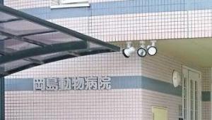 岡島動物病院(1)