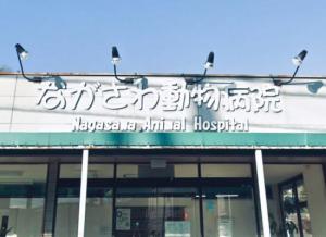 ながさわ動物病院(1)