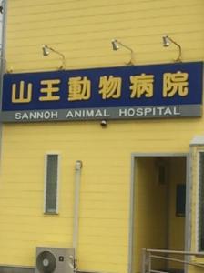 山王動物病院(1)