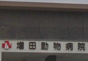 増田動物病院(1)