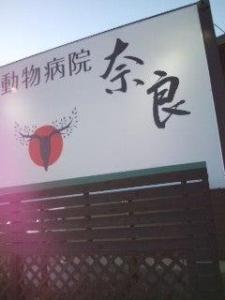 動物病院・奈良(1)