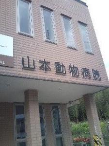 山本動物病院(1)