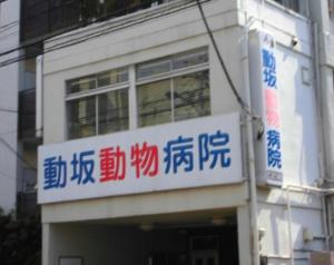 動坂動物病院(1)