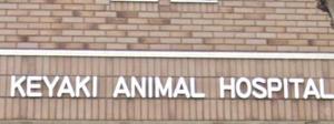 けやき動物病院(1)