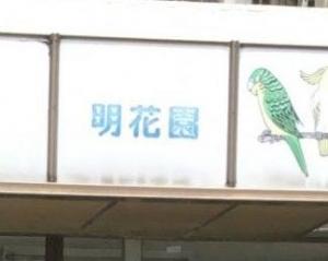 明花園小鳥店(1)