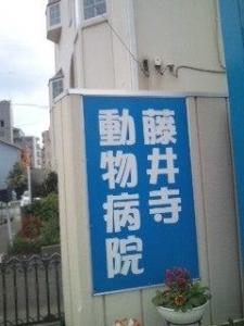 藤井寺動物病院(1)