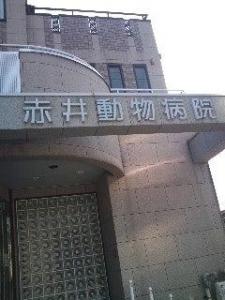 赤井動物病院(1)