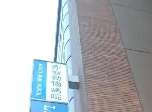 赤坂動物病院(1)
