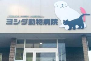 ヨシダ動物病院(1)