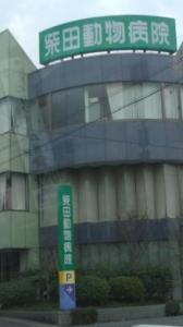柴田動物病院(1)