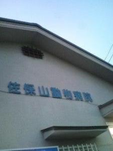 佐保山動物病院(1)
