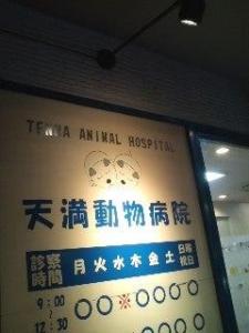 天満動物病院(1)