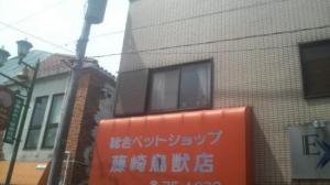 藤崎鳥獣店(1)