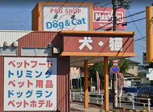 プロショップ DOG&CATムラカワ(1)