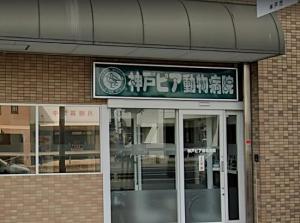 神戸ピア動物病院(1)