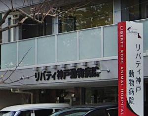 リバティ神戸動物病院(1)