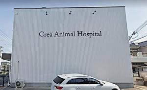 クレア動物病院(1)
