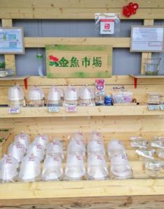 ぷち金魚市場(1)