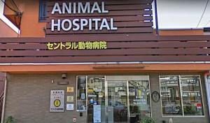 セントラル動物病院(1)