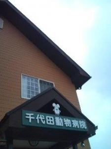 千代田動物病院(1)