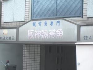 阪神熱帯魚店(1)